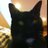 Mishey59's profile image