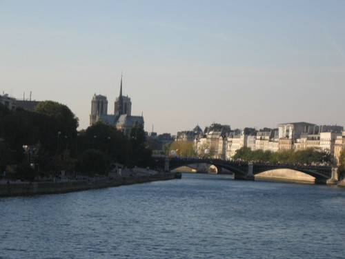 adelesaunier's profile picture. 