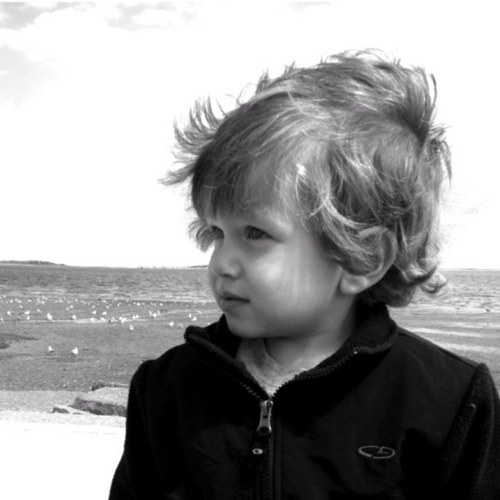 kcwheeler616's profile picture. 