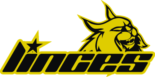 LincesVNZ's profile picture. Equipo Venezolano de Paintball, Division 3.