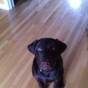 Alison horne - @amacdonaldhorne - Twitter