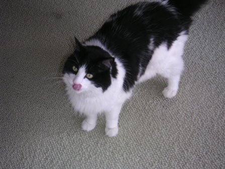 erinmatzkin's profile picture. I write stuff. Mostly legal contracts and parenting articles.  Not in that order.