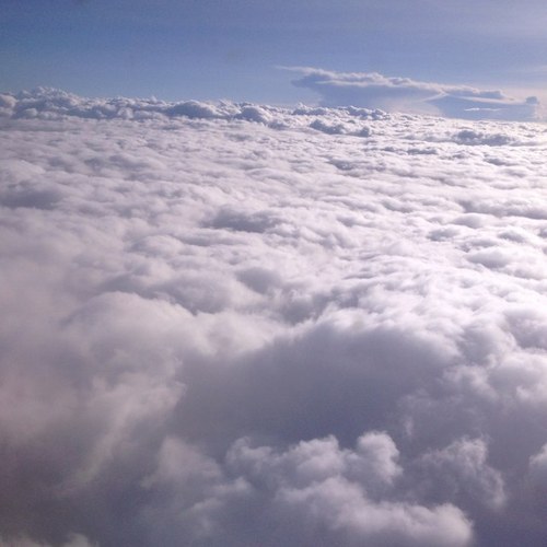 z77z1's profile picture. 