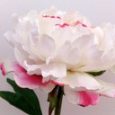 Penny Hudson - @puristpenny - Twitter