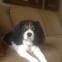 Colleen - @ColleenBeatty - Twitter