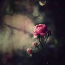 Eileen.Hu - @eileenhu1994 - Twitter