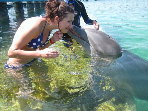 allysonseguin's profile picture. 