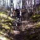 Garrett Shoemaker - @GarrettShoemak1 - Twitter