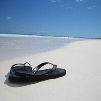 Mrs. Dowdy (@danielle_dowdy) 's Twitter Profile Photo