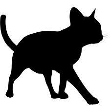 patzykatzy's profile picture. animaux, culture, écologie, lecture, sport