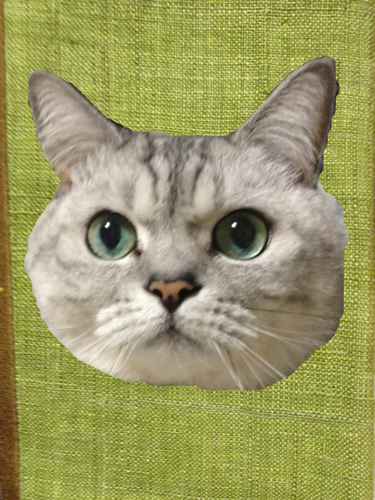 necomall's profile picture. 顔はお饅頭、体は肉まんのような丸い猫とシーズー犬と暮らしています。  好きなもの 猫　奈良美智　お茶すること　エッセンシャルオイル　JAMIN PUECH　H.P.FRANCE たまに雪山に出没