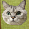 necomall's profile picture. 顔はお饅頭、体は肉まんのような丸い猫とシーズー犬と暮らしています。  好きなもの 猫　奈良美智　お茶すること　エッセンシャルオイル　JAMIN PUECH　H.P.FRANCE たまに雪山に出没