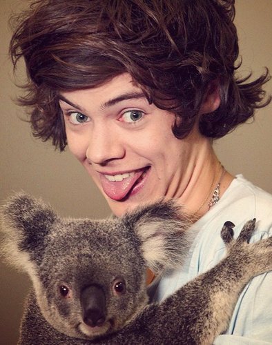 ldpdl1's profile picture. 