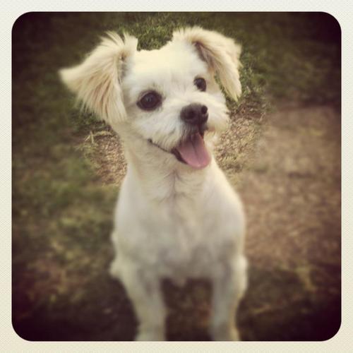 grubbie50's profile picture. 