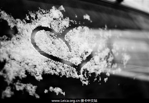 lancelot23's profile picture. 