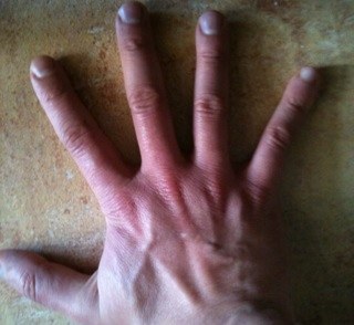 bi0dge's profile picture. 