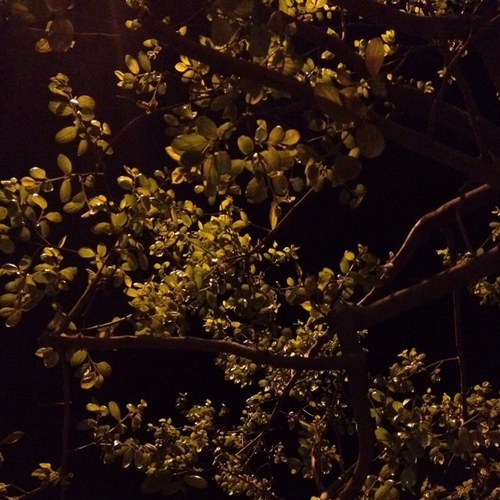 skyjxa's profile picture. 24708594。 l250573439 zhgexx