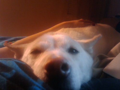 uniyyynew's profile picture. 