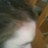 kilipy's profile image