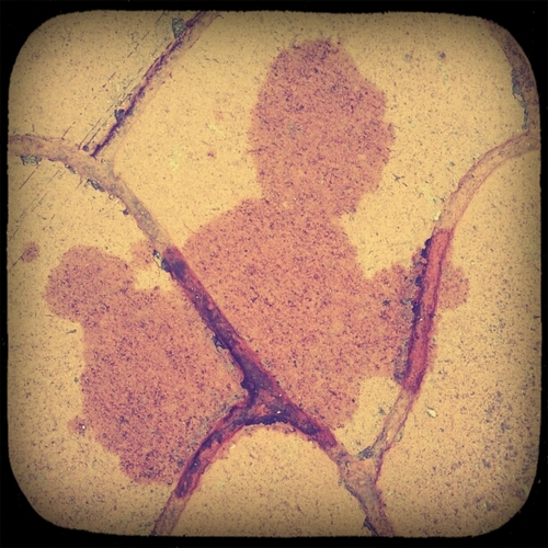 staticsword's profile picture. I have the power of God AND anime on my side