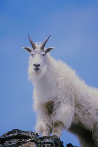 rijnt's profile picture. 