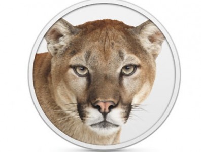 cryptostamp_cat Profile Picture