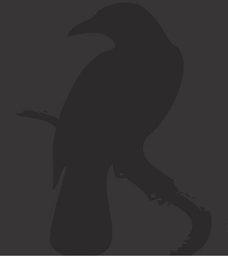 Co-Founder of Spirit Hunters of the South