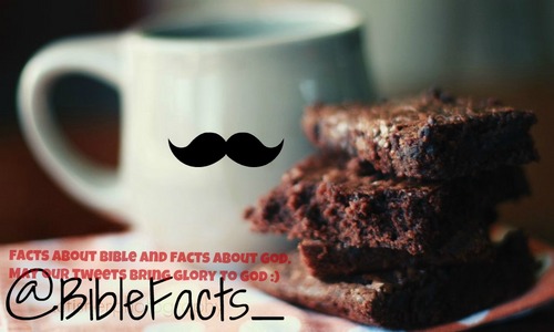 BibleFacts_'s profile picture. Sharing God's facts and bible facts. Contact us=bible.fact@yahoo.com.
