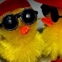 Connor Roche - @CJRoche22 - Twitter