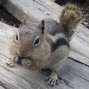 Isaac Keller - @iKeller - Twitter