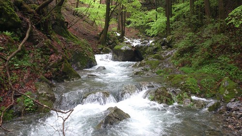 ysugai1122's profile picture. 