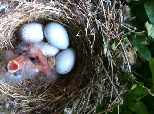 jamitche79's profile picture. 