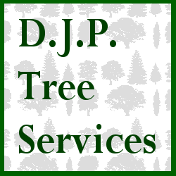 DJPTreeServices's profile picture. D.J.P. Tree Services is a tree surgery business based in Bury St Edmunds. We cover all aspect of tree work and hedge maintenance.