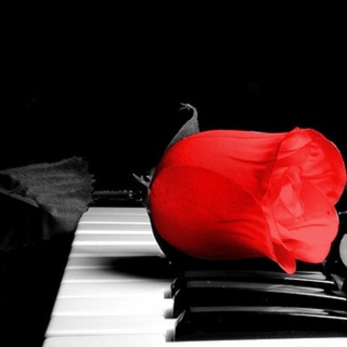 thebubbles22's profile picture. Borderline Personality Disorder. Dialectal Behavioural Therapy. Self Harm. OCD. Severe Phobias. Insomnia. Chronic Hip Pain.