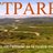bttparets's profile image