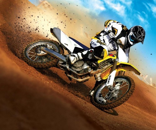 novalausie's profile picture. 