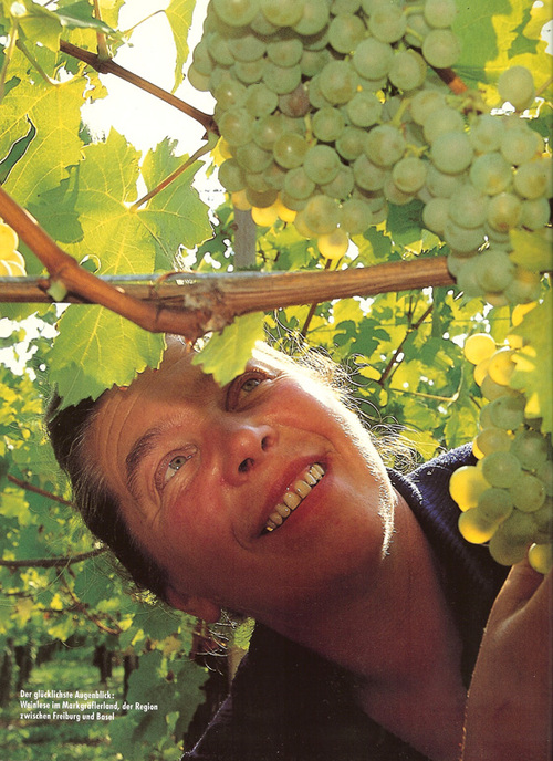 GustoTrattoria's profile picture. gastronomo - restaurant owner - lucky father of two nice kids -