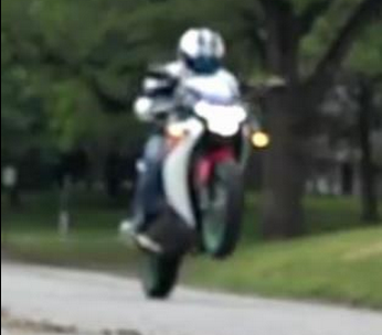 TripNArigo's profile picture. Down for whatever