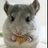 frainstar's profile image