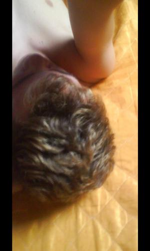 FODA-SE A BIO -.-'