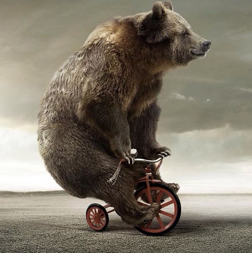 elcomoxD's profile picture. un mundo lleno de chistes y de frases la cual endulzaran tu dia un rato y murir de la risa solamente por elcomoxD