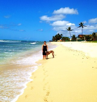 AolEllen's profile picture. 