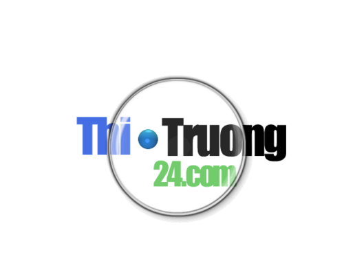 thitruong24com's profile picture. 