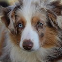 kailey davis - @castielisdead - Twitter