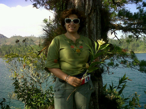 rocybus's profile picture. Mtra. en Admon. De Negocios y profra.México,DF