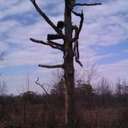 roy walden - @walden39 - Twitter