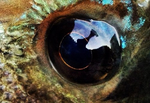 Camera4cash's profile picture. 