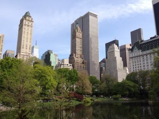 ACikurel's profile picture. 