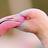 TackyAndPink's profile image