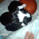 harvey crews - @sharonandharvey - Twitter